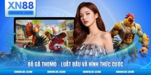 Đá Gà Thomo - Luật Đấu Và Hình Thức Cược 2026