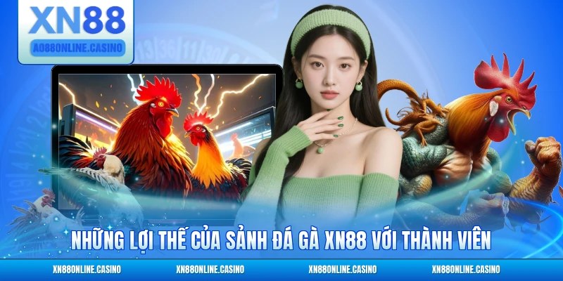 Những lợi thế của sảnh đá gà XN88 với thành viên