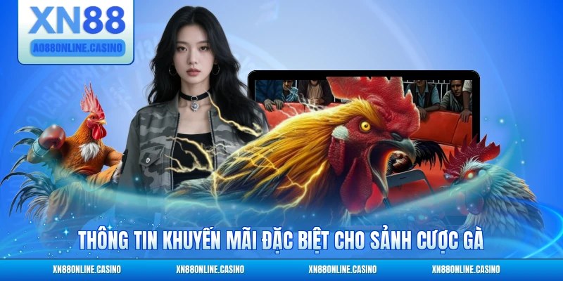 Thông tin khuyến mãi đặc biệt cho sảnh cược gà